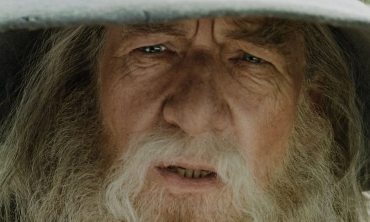 signore degli anelli gandalf